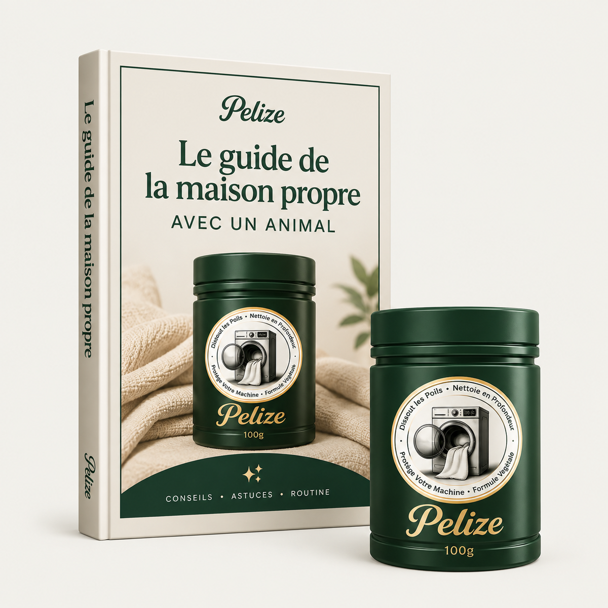 Le guide de la maison propre